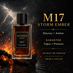 Elyssia - M17 Storm Ember koku profili ve karakter detay kartı, şeffaf cam şişe